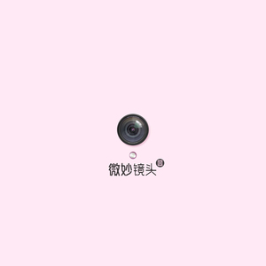 李小璐的黄色小说
