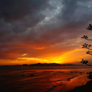 李小璐的黄色小说
