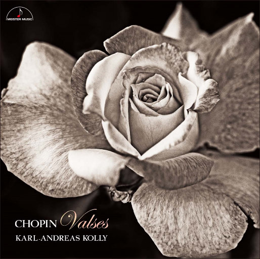 李小璐的黄色小说
